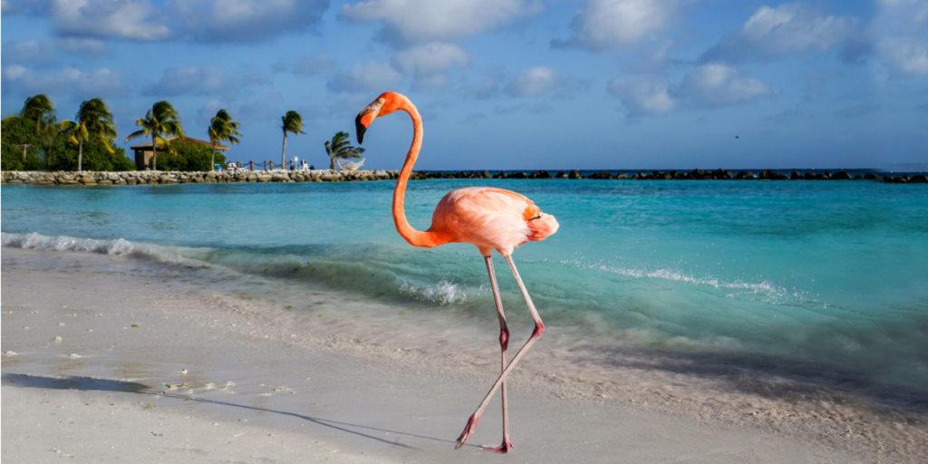 Belastingen en een huis op Aruba Een huis kopen op Aruba