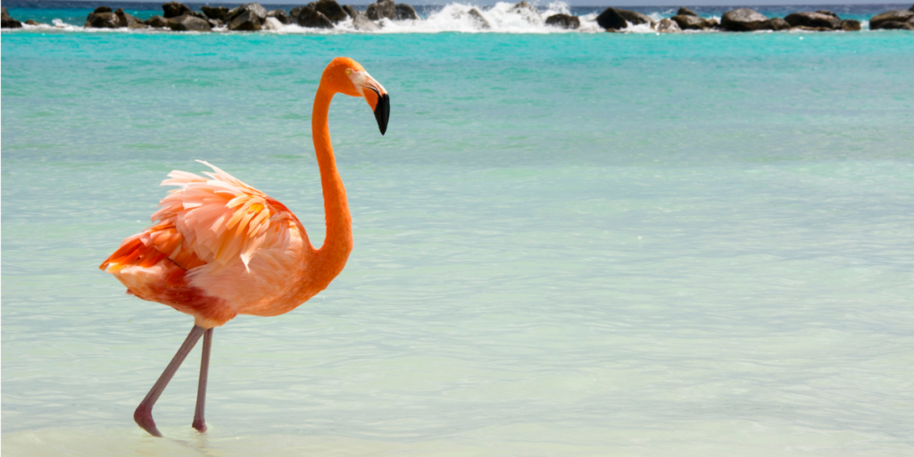 Een vakantiewoning kopen op Aruba