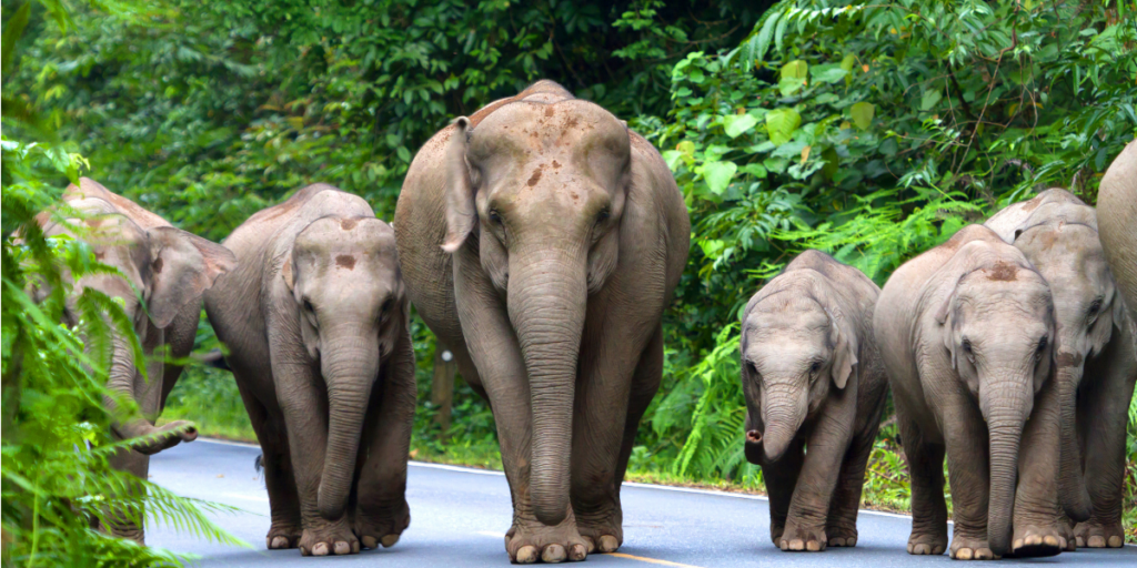 Een tweede huis aan te kopen in Thailand